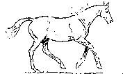 antreten